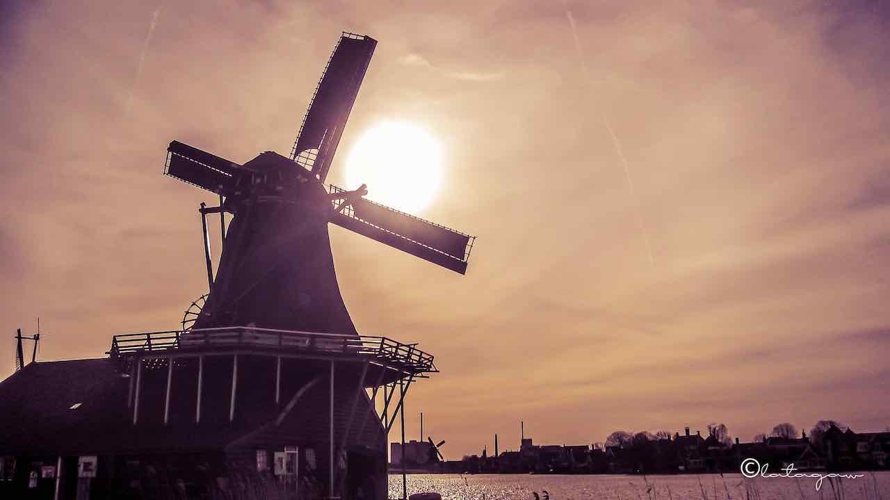 a photo of a sunset amidst the famous windmill in amsterdam netherlands