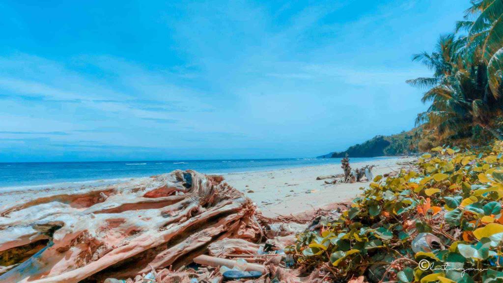 old log on an unexplored beach in colagsing beach resort santa maria davao occidental philippines