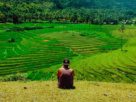 enjoying the view of cadapdapan rice terraces bohol philippines