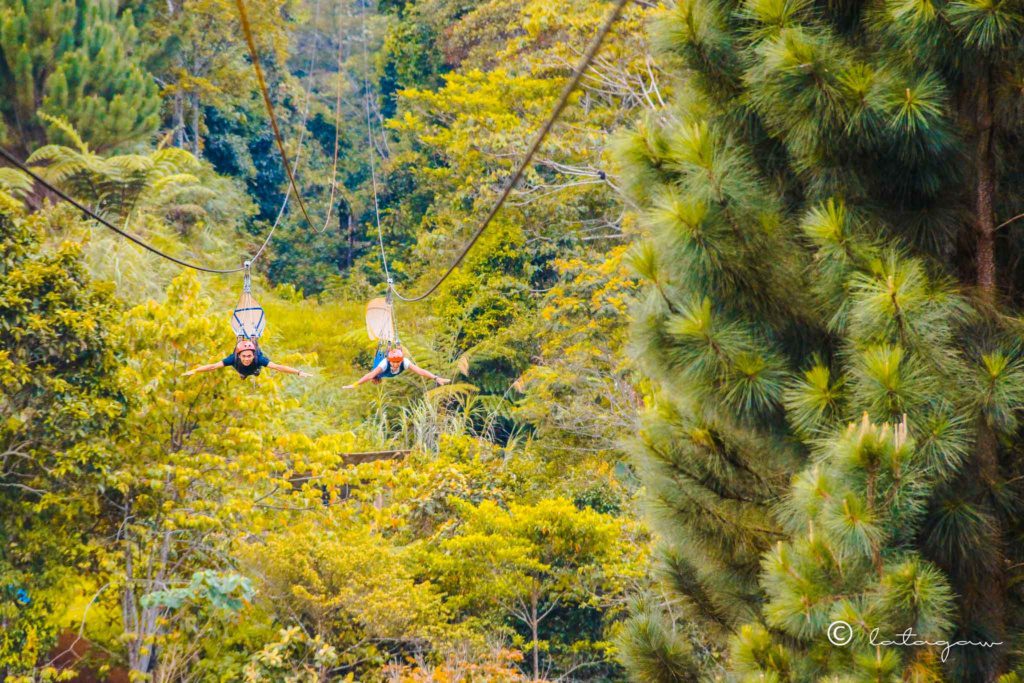 dahilayan park zipline bukidnon philippines